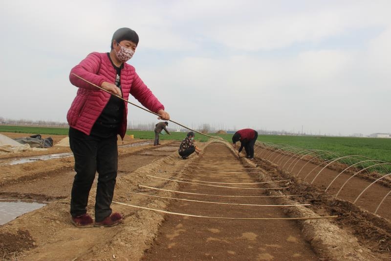 疫情防控、春耕生產(chǎn)兩手抓