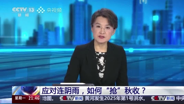 【主流媒體看周口】面對連陰雨 如何“搶”秋收？