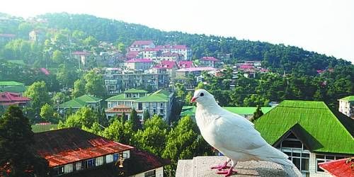  有著“云中山城”之稱的牯嶺鎮(zhèn)面臨著遷民下山。